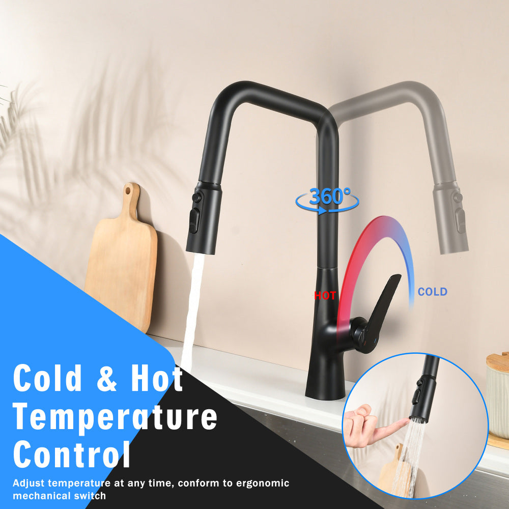 Matte Black Professional Kitchen Faucet 3 Function 360 Sprayer One Touch Switching FastConnect