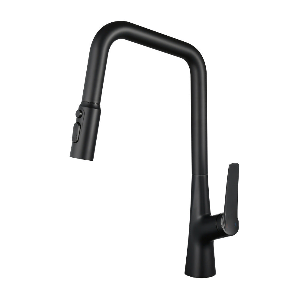 Matte Black Professional Kitchen Faucet 3 Function 360 Sprayer One Touch Switching FastConnect