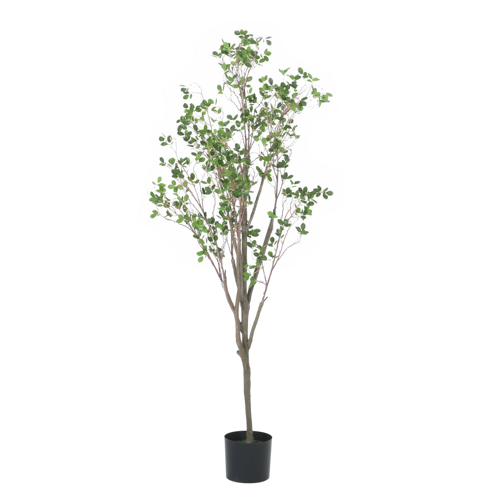 180CM ARTIFICIAL MILAN LEAF BONSAI