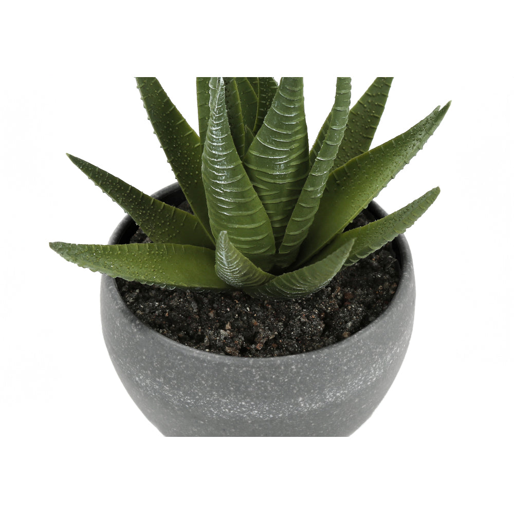 Artificial Plant, 6" Tall, Succulent, Indoor, Faux, Fake, Table, Greenery, Potted, Set Of 3, Decorative, Green Plants, Grey Cement Pots