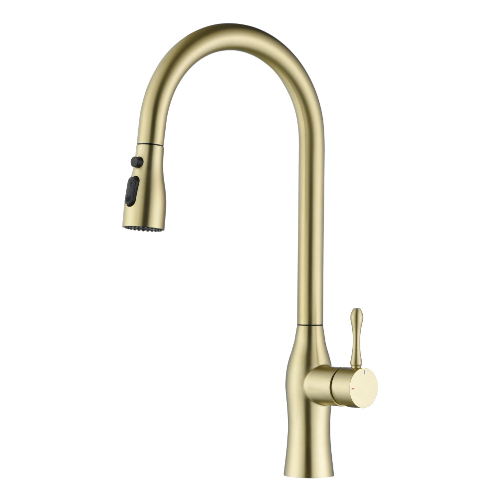 Pull-Down Single Handle Kitchen Faucet in Brushed Gold