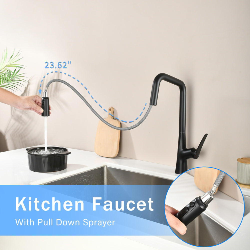 Matte Black Professional Kitchen Faucet 3 Function 360 Sprayer One Touch Switching FastConnect