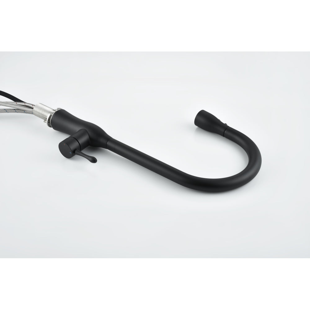 Pull-Down Single Handle Kitchen Faucet in Matte Black