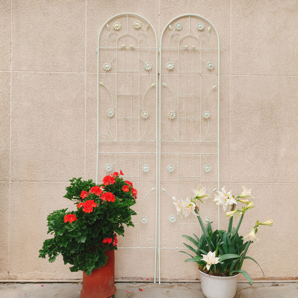 2 Pack Metal Garden Trellis 86.7" x 19.7" Rustproof Trellis for Climbing Plants Outdoor Flower Support Cream White