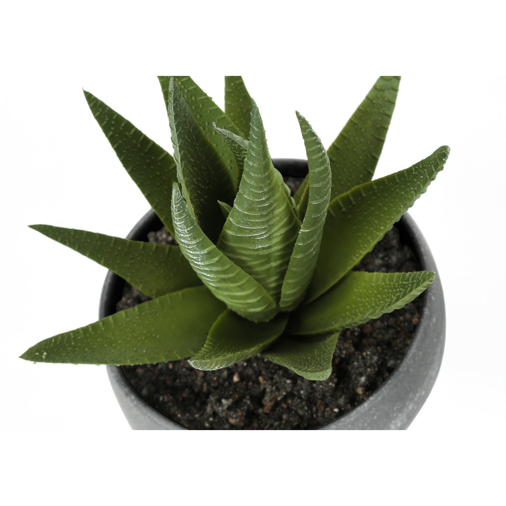 Artificial Plant, 6" Tall, Succulent, Indoor, Faux, Fake, Table, Greenery, Potted, Set Of 3, Decorative, Green Plants, Grey Cement Pots