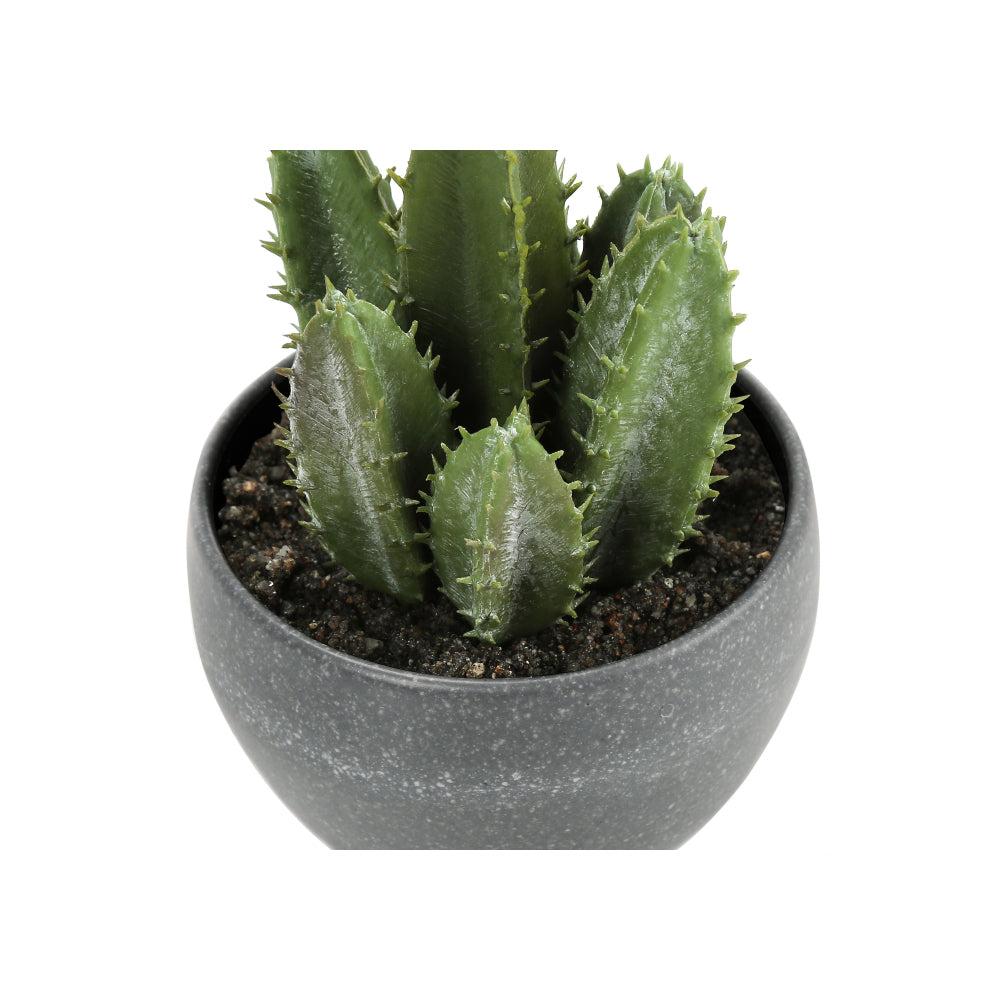Artificial Plant, 6" Tall, Succulent, Indoor, Faux, Fake, Table, Greenery, Potted, Set Of 3, Decorative, Green Plants, Grey Cement Pots