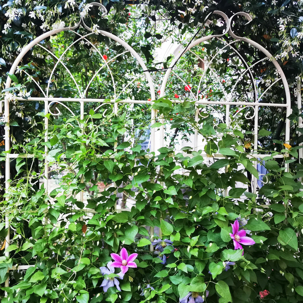 4 Pack Metal Garden Trellis 71" x 19.7" Rustproof Trellis for Climbing Plants Outdoor Flower Support Black