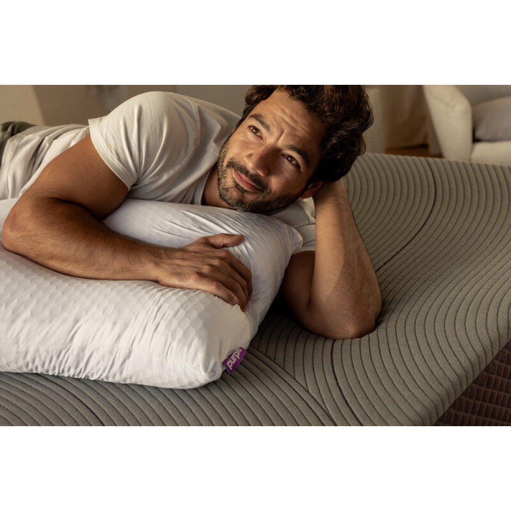The Purple Harmony Pillow Low - Standard, Case Pack 4