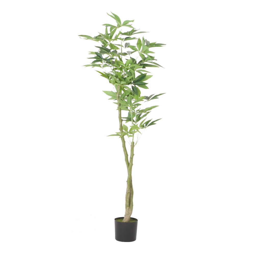 160CM ARTIFICIAL PACHIRA MACROCARPA