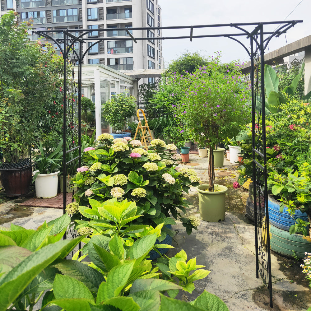 Metal Garden Arch L80.3'' x W20.47'' x H81.1'' Climbing Plants Support Rose Arch Outdoor Black
