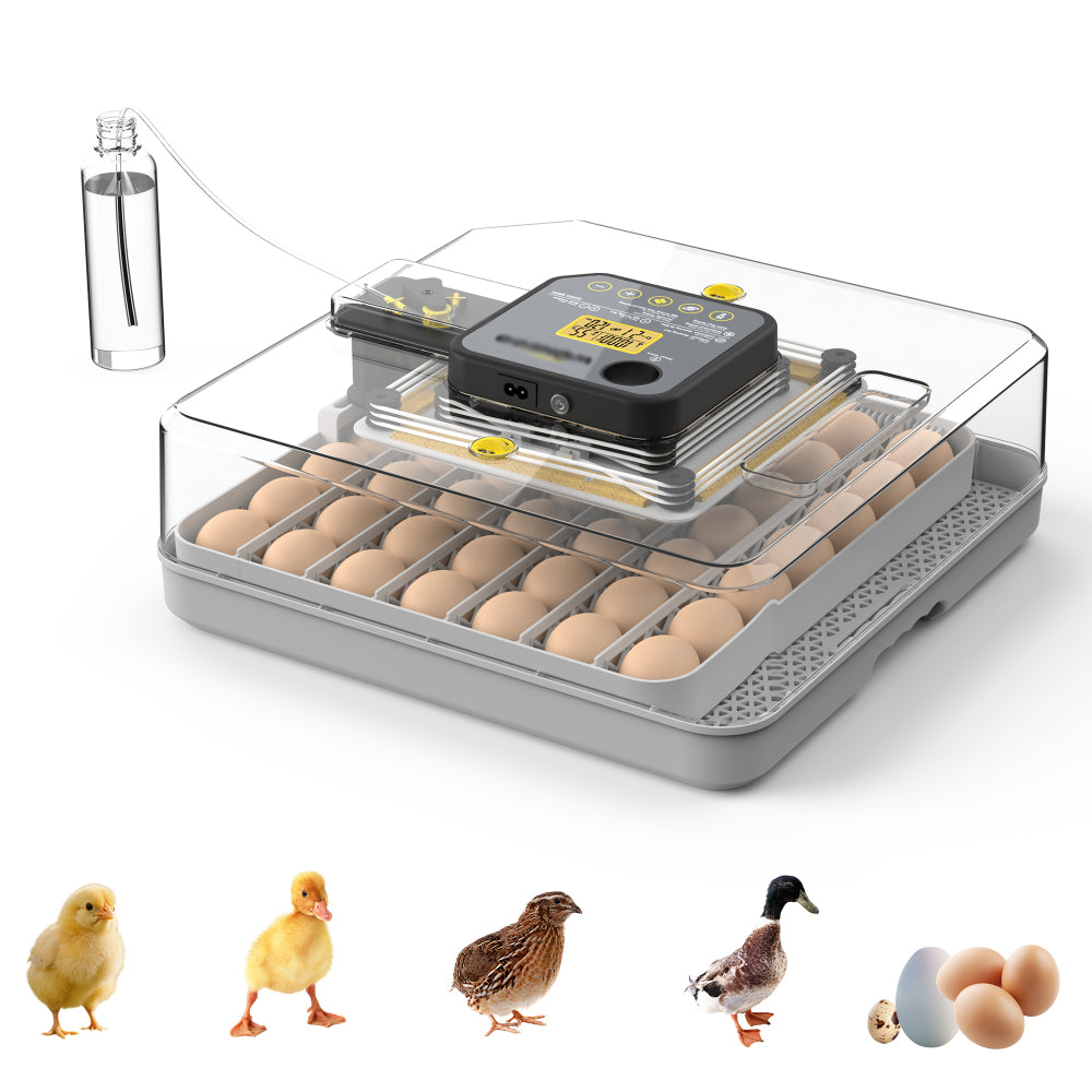48 Egg Incubator for Hatching Chicken, Duck, Quail & Parrot Eggs – Automatic Egg Turning, Humidity Control & Water Serving – 360° Clear View Poultry Hatcher with Temperature Display