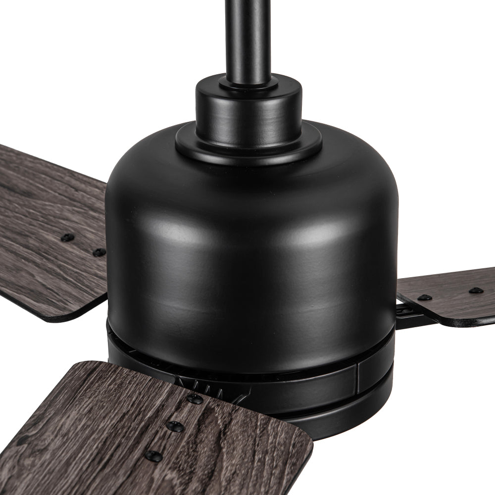 48" Black Lowe Profile Ceiling Fan with Light
