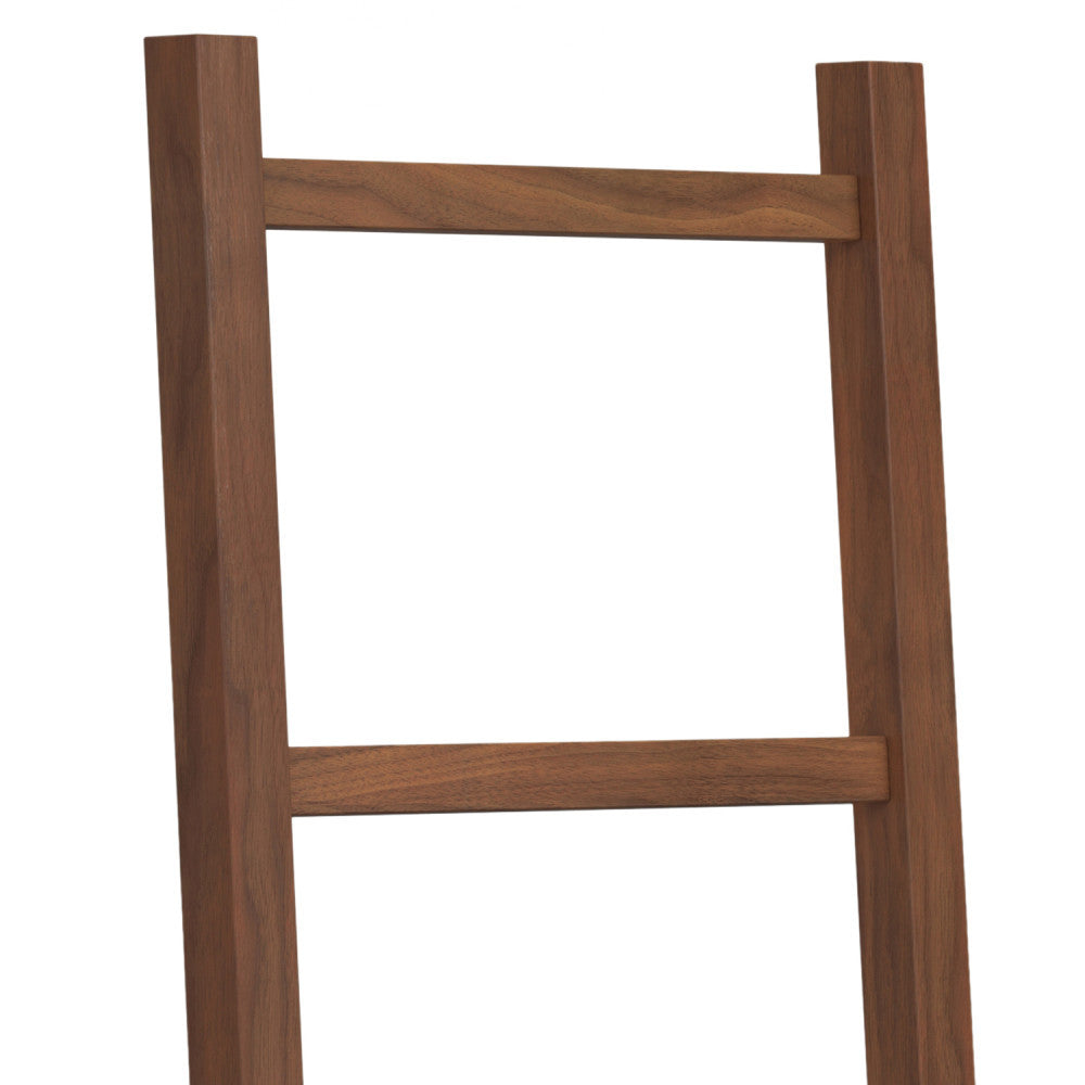 Bray Bath Towel and Blanket Ladder Shelf