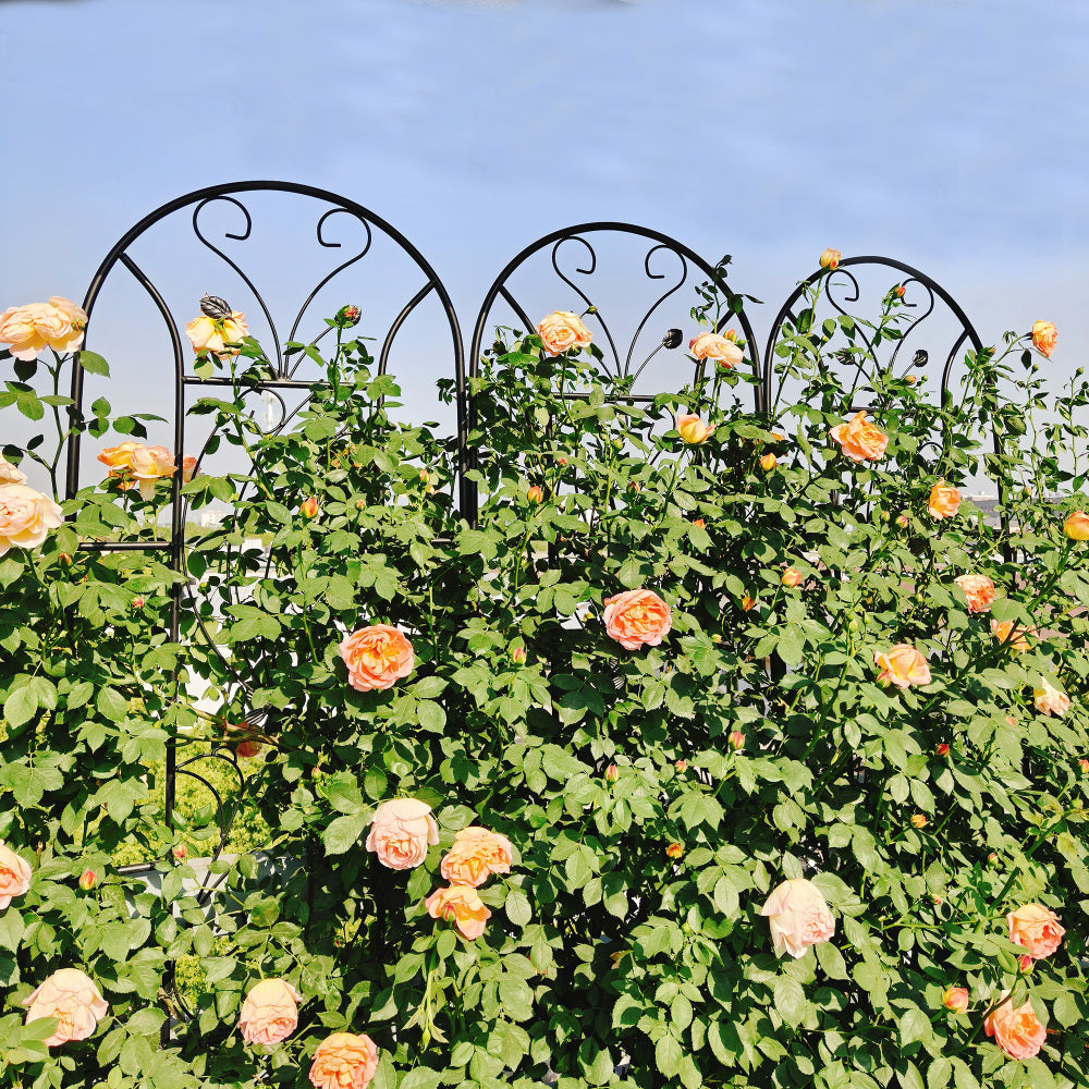 4 Pack Metal Garden Trellis 86.7" x 19.7" Rustproof Trellis for Climbing Plants Outdoor Flower Support Peacock Style Black